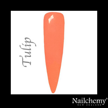 Load image into Gallery viewer, TULIP - FAERIE GARDEN