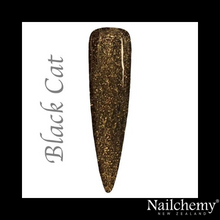 Load image into Gallery viewer, BLACK CAT - FAMILIARS PROPHECY HEMA FREE GEL POLISH COLLECTION
