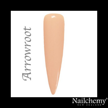 Load image into Gallery viewer, ARROWROOT - PROPHECY HEMA FREE GEL POLISH