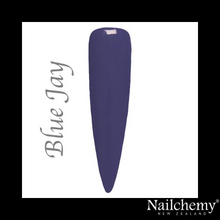 Load image into Gallery viewer, BLUE JAY - PROPHECY HEMA FREE GEL POLISH