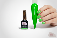 Load image into Gallery viewer, Flubber #054