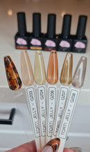 Load image into Gallery viewer, Tortishell Jellys x5