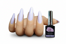 Load image into Gallery viewer, Roger #1182