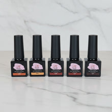 Load image into Gallery viewer, Tortishell Jellys x5