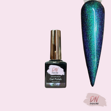Load image into Gallery viewer, dn 5d magnetic gel polish c4